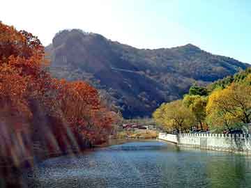 新澳天天开奖资料大全旅游团，纤丽婷